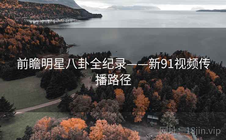 前瞻明星八卦全纪录——新91视频传播路径