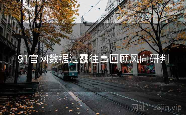 91官网数据泄露往事回顾风向研判