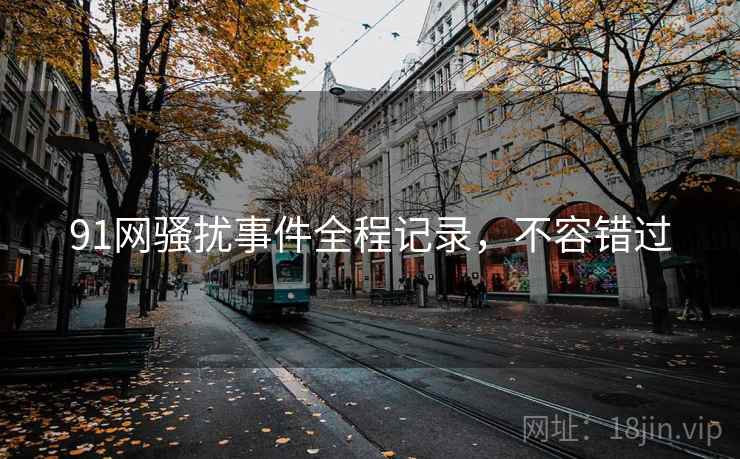 91网骚扰事件全程记录，不容错过