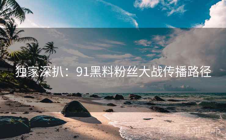 独家深扒：91黑料粉丝大战传播路径