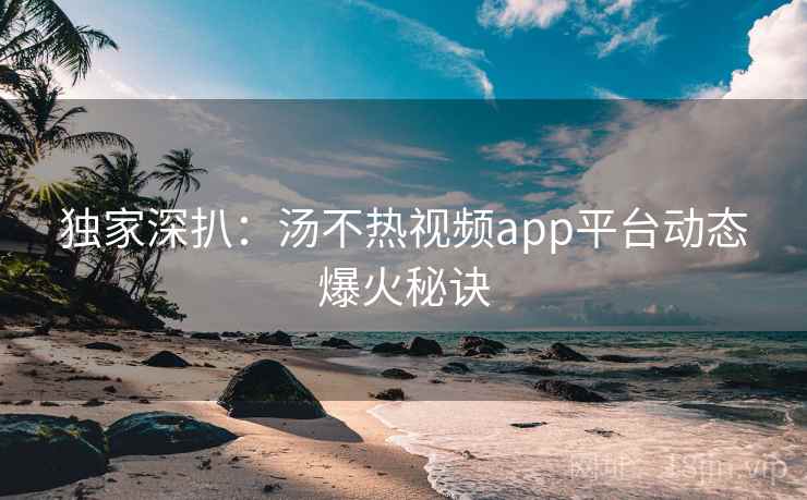 独家深扒：汤不热视频app平台动态爆火秘诀