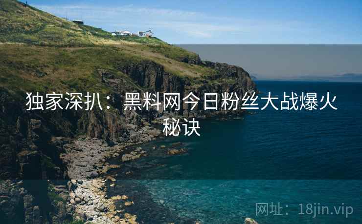 独家深扒：黑料网今日粉丝大战爆火秘诀