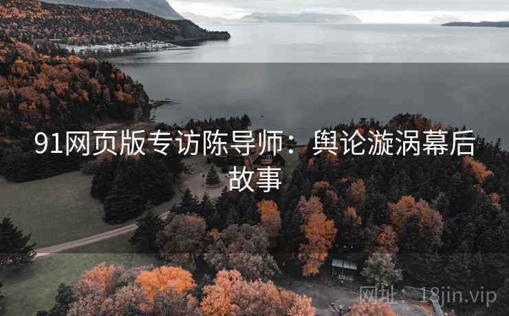 91网页版专访陈导师：舆论漩涡幕后故事