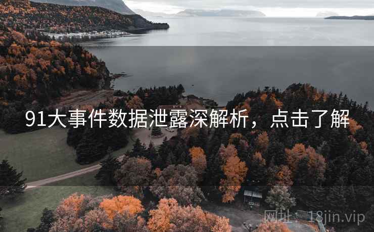 91大事件数据泄露深解析，点击了解